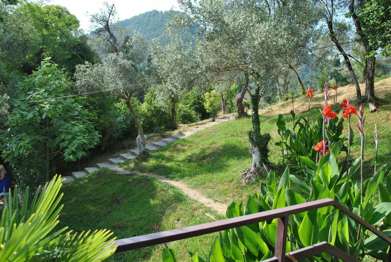 New Athos Villa Oliva מראה חיצוני תמונה